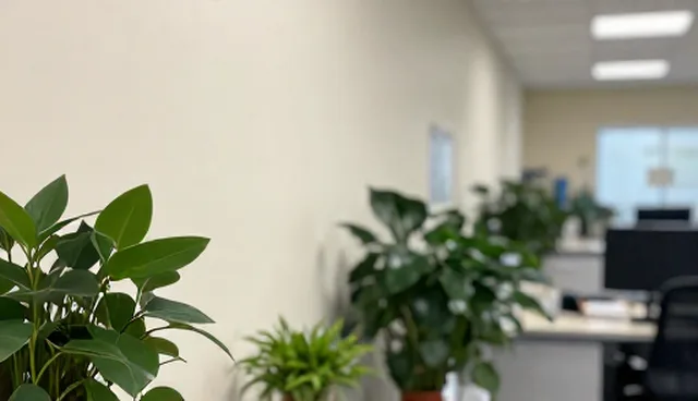 短视频运营中系统响应速度不足的处理方向